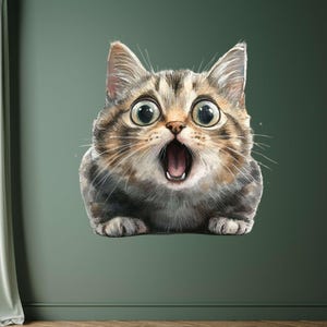 Crazy Surprise Cat Sticker – Funny Cat as Wall Decal & Car Sticker