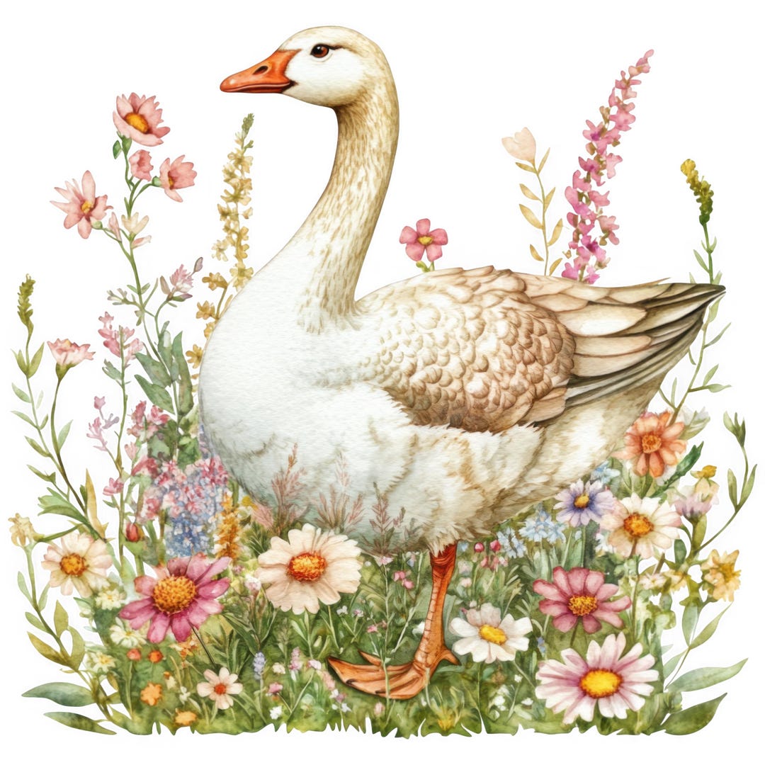 5x Goose Sticker Set, 5 Pieces, 9 X 9 Cm, Funny Goose Car Stickers ...