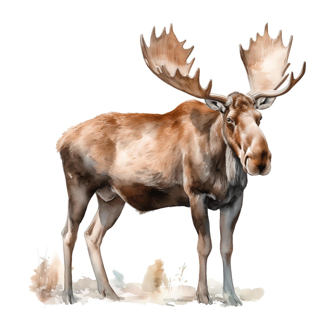 4x Moose Stickers Majestic Car Decals Wilderness Nature Vinyl ...