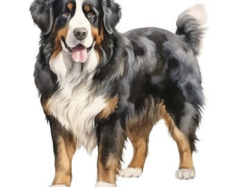 2x Akvarell Berner Sennenhund Bilklistermärken, Färgglada Vinylhundklistermärken, Väderbeständiga och hållbara, Presentidé för Bernerälskare