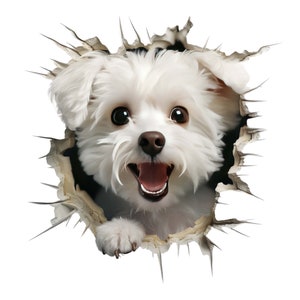 Adesivo per auto con simpatico cane 3D, adesivo per cane