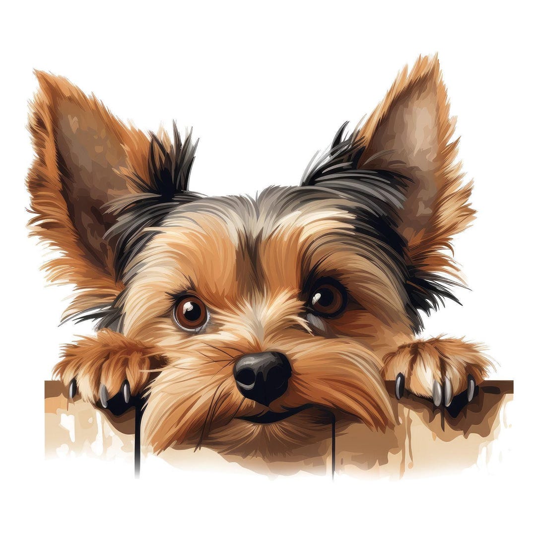 Yorki Sticker Transparent 2X Yorkshire Terrier Car Stickers – Weatherproof Dog Stickers for Car ...