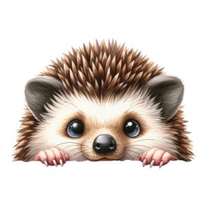 Cute hedgehog sticker wall decal car sticker cartoon animal 3D effect decoration for children's room car laptop wall