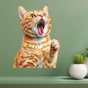 Crazy Surprise Cat Sticker – Funny Cat as Wall Decal & Car Sticker