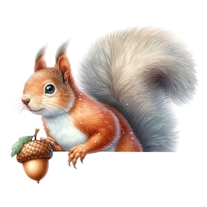 Cute squirrel sticker with acorn | Cartoon forest animal car sticker | Autumn wall decoration | Gift for nature lovers