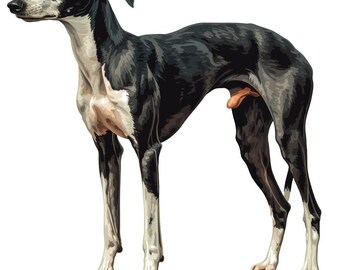 Greyhound Car Sticker – Weatherproof Dog Sticker for Car Window Laptop – Gift Idea for Greyhound Fans & Lovers of Noble Dog Breeds
