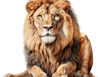 Majestic Lion Stickers (4 Pack) – Waterproof for Car & Laptop | Animal Sticker Set | Vinyl Safari | Gift for Men