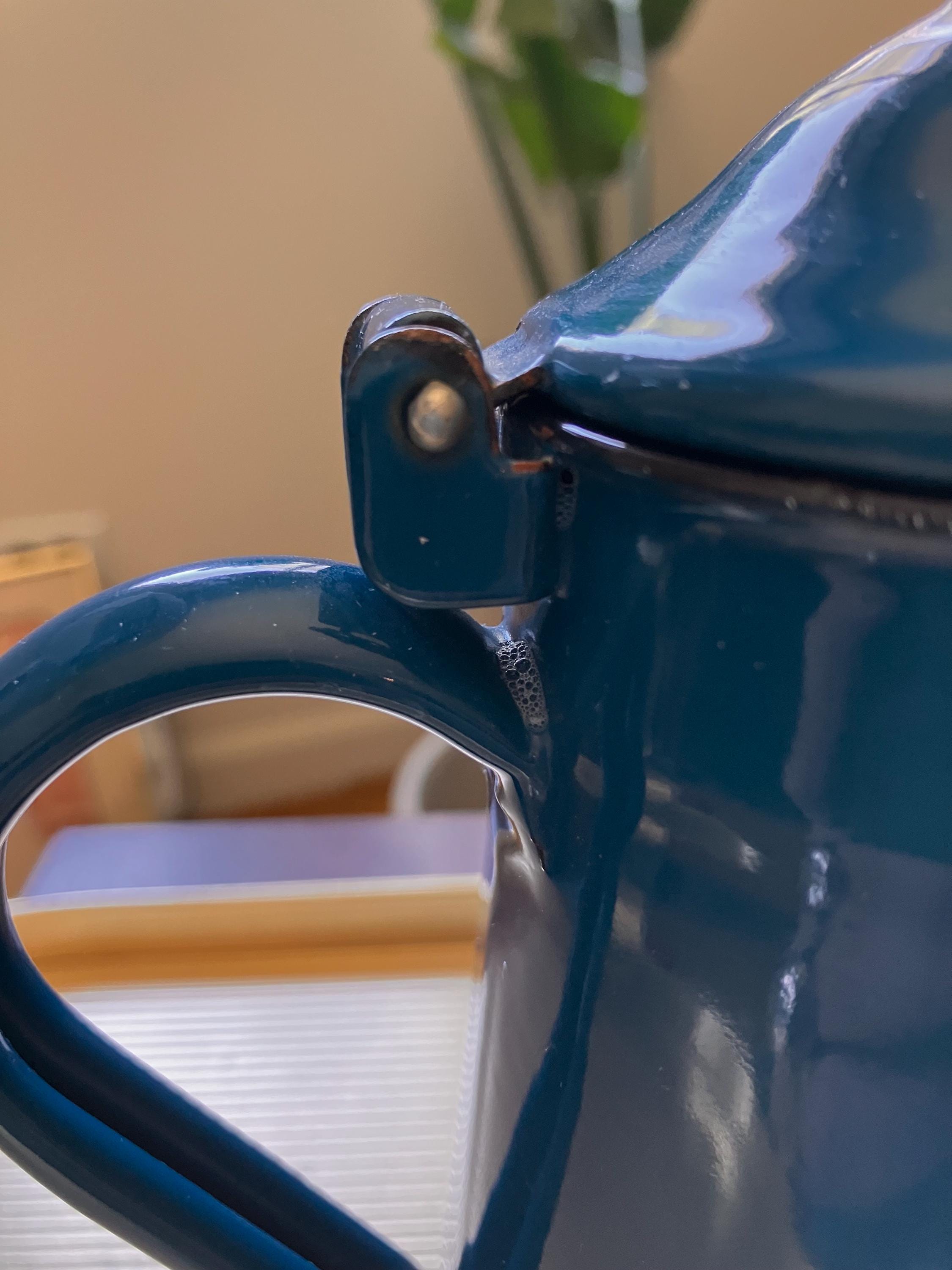 フランス産　アシナカコガネセット　Hoplia coerulea blue Vintage Hungarian Blue Enamel Coffee Pot Handle and Attached