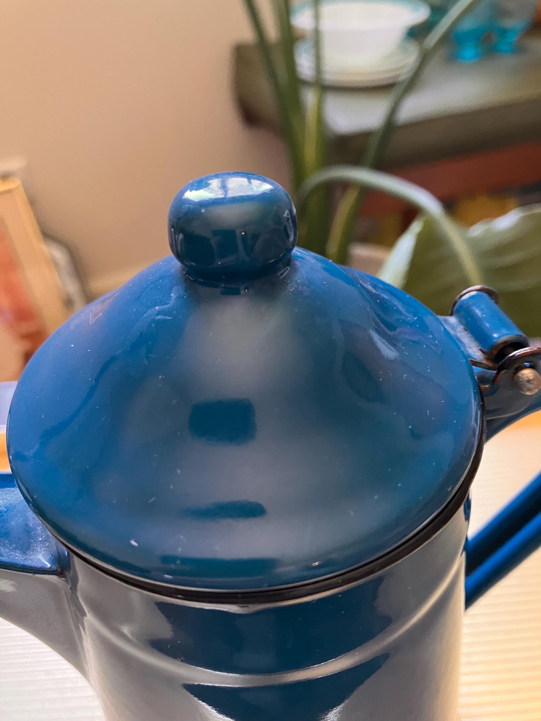 フランス産　アシナカコガネセット　Hoplia coerulea blue Vintage Hungarian Blue Enamel Coffee Pot Handle and Attached