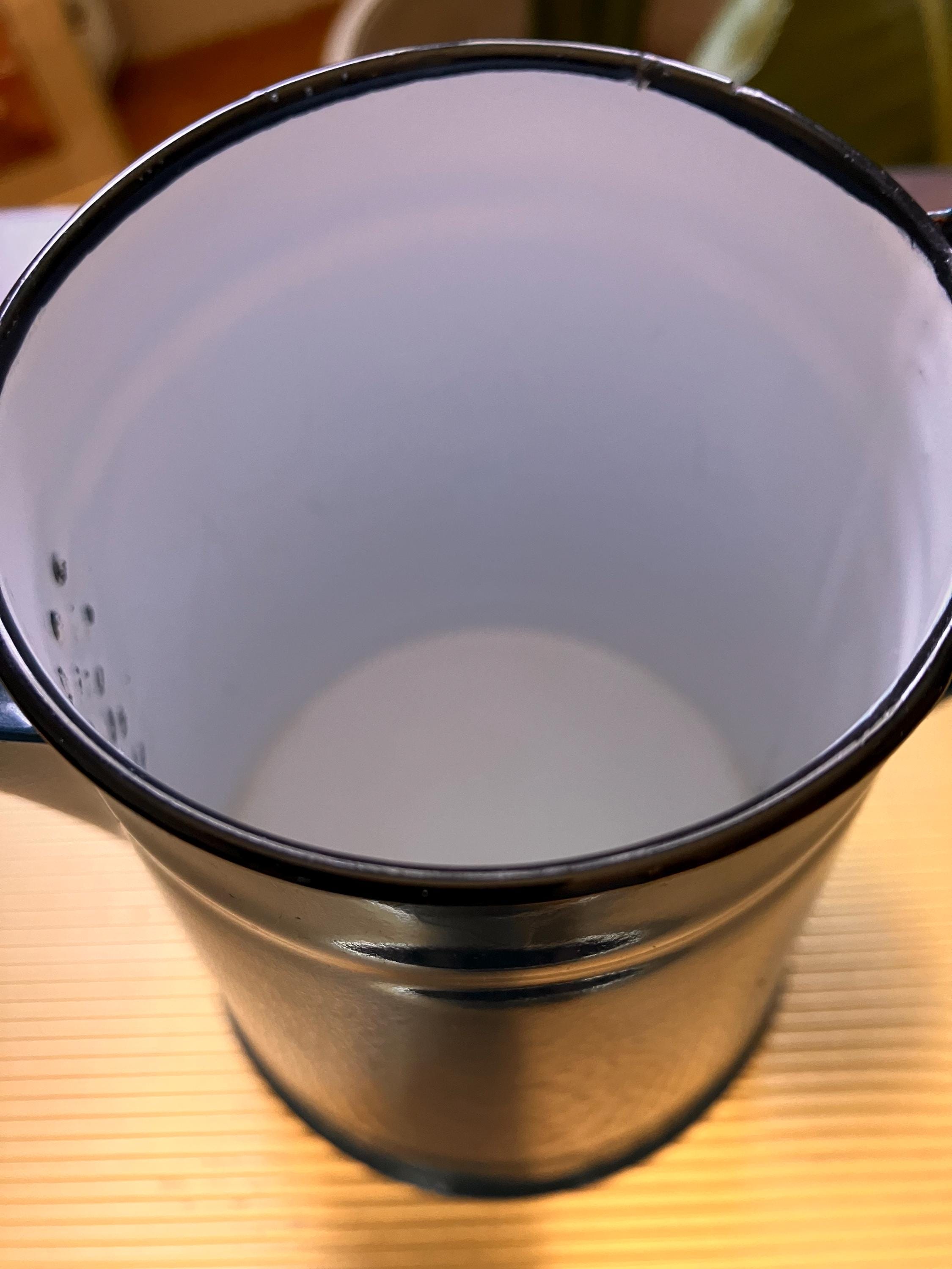 フランス産　アシナカコガネセット　Hoplia coerulea blue Vintage Hungarian Blue Enamel Coffee Pot Handle and Attached