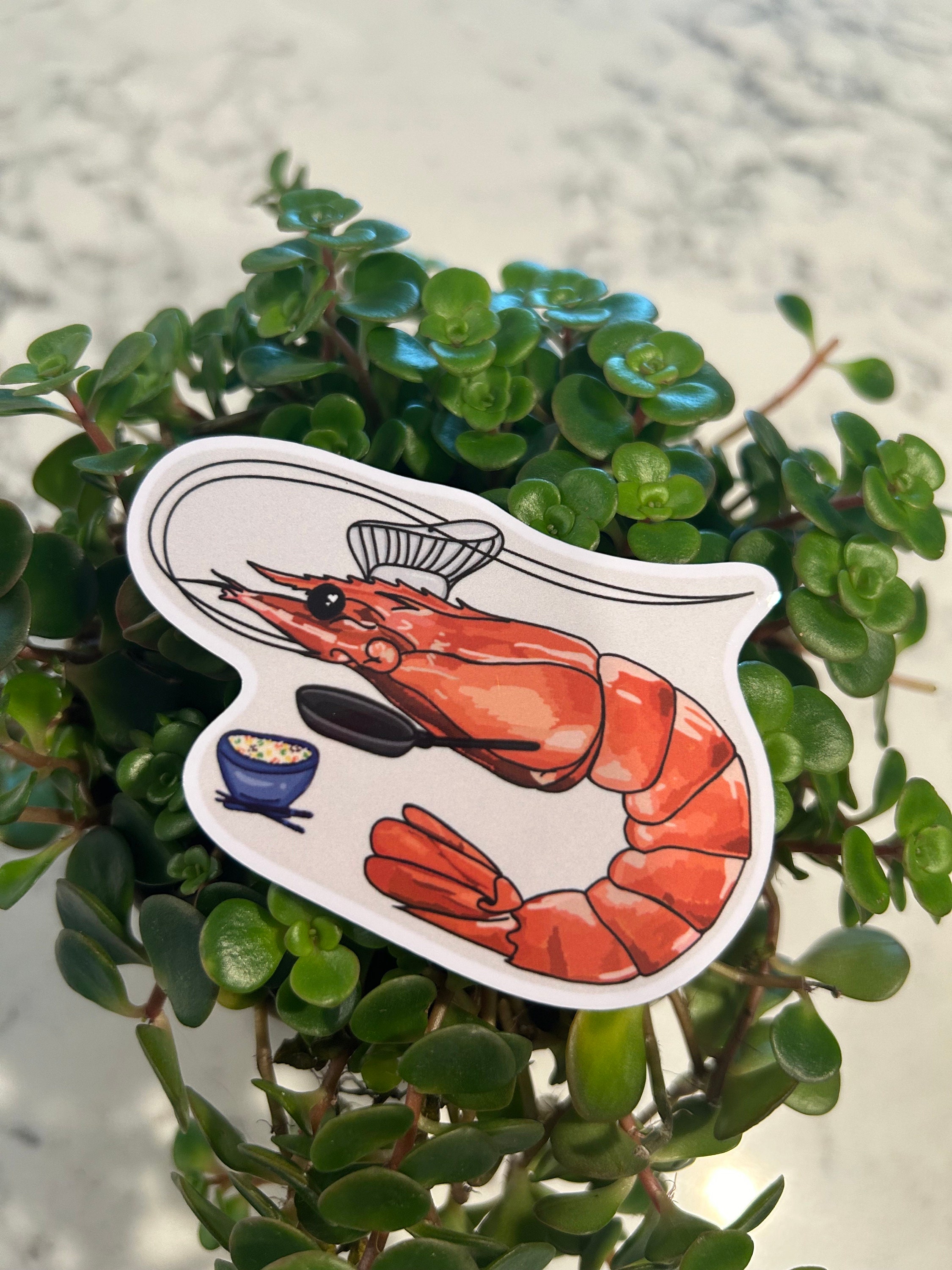 Shrimp Fried Rice Sticker, Water Bottle Sticker, Laptop Sticker ...