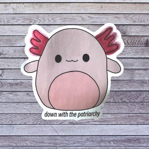 Squishmallow Aufkleber, lustiger Aufkleber, Wasserflasche Aufkleber, Laptop Aufkleber, wasserdichter Aufkleber, Kawaii Aufkleber, Axolotl Aufkleber, Feminismus