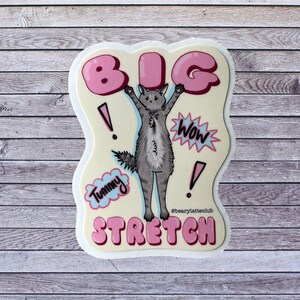 cat sticker, animal sticker, water bottle sticker, laptop sticker, waterproof sticker, cute sticker, pet sticker, funny sticker