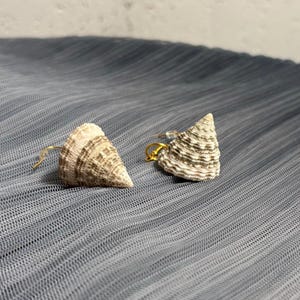 May include: A pair of earrings featuring natural cone-shaped seashells with brown and white textured patterns. Each shell is attached to a gold-toned metal hook finding, showcasing the spiral ridges and pointed apex of the organic shell structure.