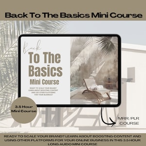 Back to The Basics Mini Course | Digital Marketing Course | Master Resell Rights and PLR | DFY Mini Course | MRR course | Instagram Growth
