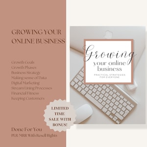 How To Grow Your Online Business eBook, business Insights, Strategies,  PLR, lead magnet, digital product, Canva template, PLR eBook