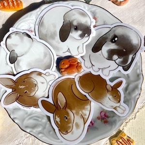 May include: A selection of bunny stickers in different poses and colours, including white, brown, and grey. The stickers are displayed on a decorative plate with floral patterns, alongside miniature food-shaped charms.