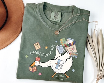 Comfort Colors Silly Goose Special Education Teacher Shirt, Funny Special Education Teacher Gift, SPED Teacher Shirt, Special Ed Team Shirt