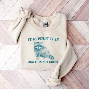 It Is What It Is And It Is Not Great Sweatshirt, Mental Health Sweatshirt, Funny Sweatshirt Women, Meme Sweatshirt, Raccoon Shirt, Gag Tee