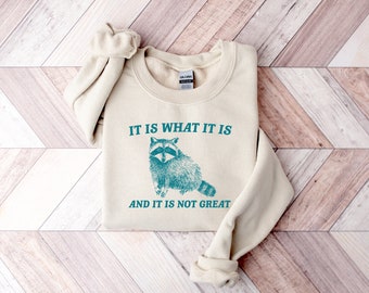 It Is What It Is And It Is Not Great Sweatshirt, Mental Health Sweatshirt, Funny Sweatshirt Women, Meme Sweatshirt, Raccoon Shirt, Gag Tee