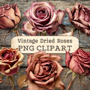 Clipart de rosas secas vintage, descargas digitales PNG, collage shabby chic, scrapbooking, diario basura, manualidades de papel, planificadores, imagen imprimible