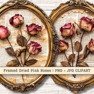 Clipart di rose rosa essiccate incorniciate, album di ritagli con collage di cameo romantico vintage, diario grunge, immagini stampabili per lavoretti di carta per planner