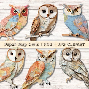Clipart di gufi di mappe di carta, uccelli di tecniche miste PNG + JPG antichi download istantanei, immagini in stile collage origami, forniture digitali per diari spazzatura