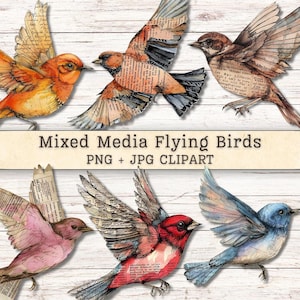 May include: A collection of six mixed media flying birds featuring collage elements of vintage newspaper text and watercolor textures in shades of orange, brown, pink, red, and blue, with the text Mixed Media Flying Birds PNG + JPG CLIPART.