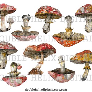 May include: Ten paper mache mushrooms with red and white caps and brown stems. The mushrooms are arranged in a variety of positions and angles. Some of the mushrooms have a yellow and brown cap.