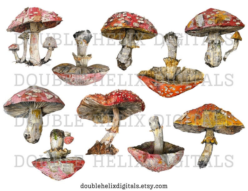 May include: Ten paper mache mushrooms with red and white caps and brown stems. The mushrooms are arranged in a variety of positions and angles. Some of the mushrooms have a yellow and brown cap.