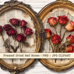 Roses rouges séchées encadrées Clip Art, album de collage vintage camée romantique ancien, carnet de notes grunge, créations en papier pour agenda, image imprimable