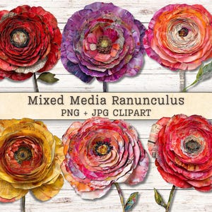 Pode incluir: Seis flores de ranúnculos em técnica mista em várias cores, incluindo vermelho, roxo, laranja e amarelo. As flores são feitas de papel em camadas com texto visível e são colocadas em um fundo de madeira branca. O texto "Mixed Media Ranunculus PNG + JPG CLIPART" é exibido.