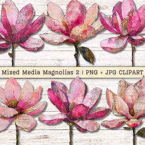 Op de afbeelding: Een verzameling mixed media magnolia bloem clipart in roze en crèmetinten, met zichtbare tekstfragmenten. De bloemen zijn gerangschikt op een witte houten achtergrond. De tekst "Mixed Media Magnolias 2 | PNG + JPG CLIPART" is zichtbaar.