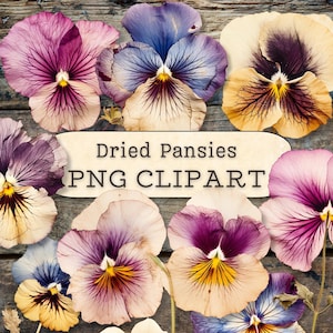 Clipart de pensamientos secos vintage, descargas digitales de flores, collage shabby chic, scrapbooking, diario basura, manualidades de papel, planificadores, imprimibles
