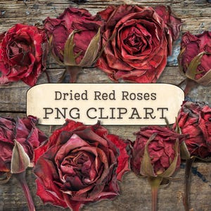 Clipart de rosas vermelhas secas, downloads digitais em PNG, colagem romântica vintage, diário de recortes, artesanato em papel para planejadores, imagem para impressão