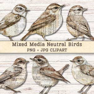 May include: Six brown and beige bird illustrations featuring a mixed media collage style with vintage text and musical notation patterns. The text Mixed Media Neutral Birds PNG + JPG CLIPART is centered horizontally across the middle of the image.