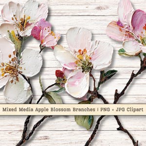 May include: Mixed media artwork of apple blossom branches with white, pink, and yellow flowers. The flowers have a textured, painted appearance, with dark brown branches and green leaves. The background is a white, wood-grain texture. The text reads "Mixed Media Apple Blossom Branches | PNG + JPG Clipart".