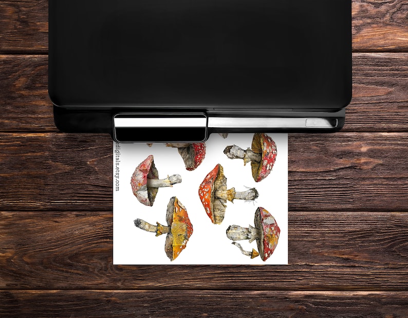 May include: A set of eight digital illustrations of red and white mushrooms with brown stems. The mushrooms are arranged in a random pattern on a white background.