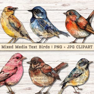 Mixed Media Birds Clipart, Text Watercolor Grunge Distressed PNG + JPG Instant Downloads, Ink Collage Style Junk Journal Digital Supplies