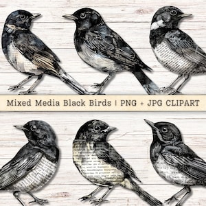May include: A collection of six mixed media black bird illustrations. The birds are depicted in various poses, with detailed shading and textures. Some birds feature text overlays, and the image includes the text "Mixed Media Black Birds | PNG + JPG CLIPART".