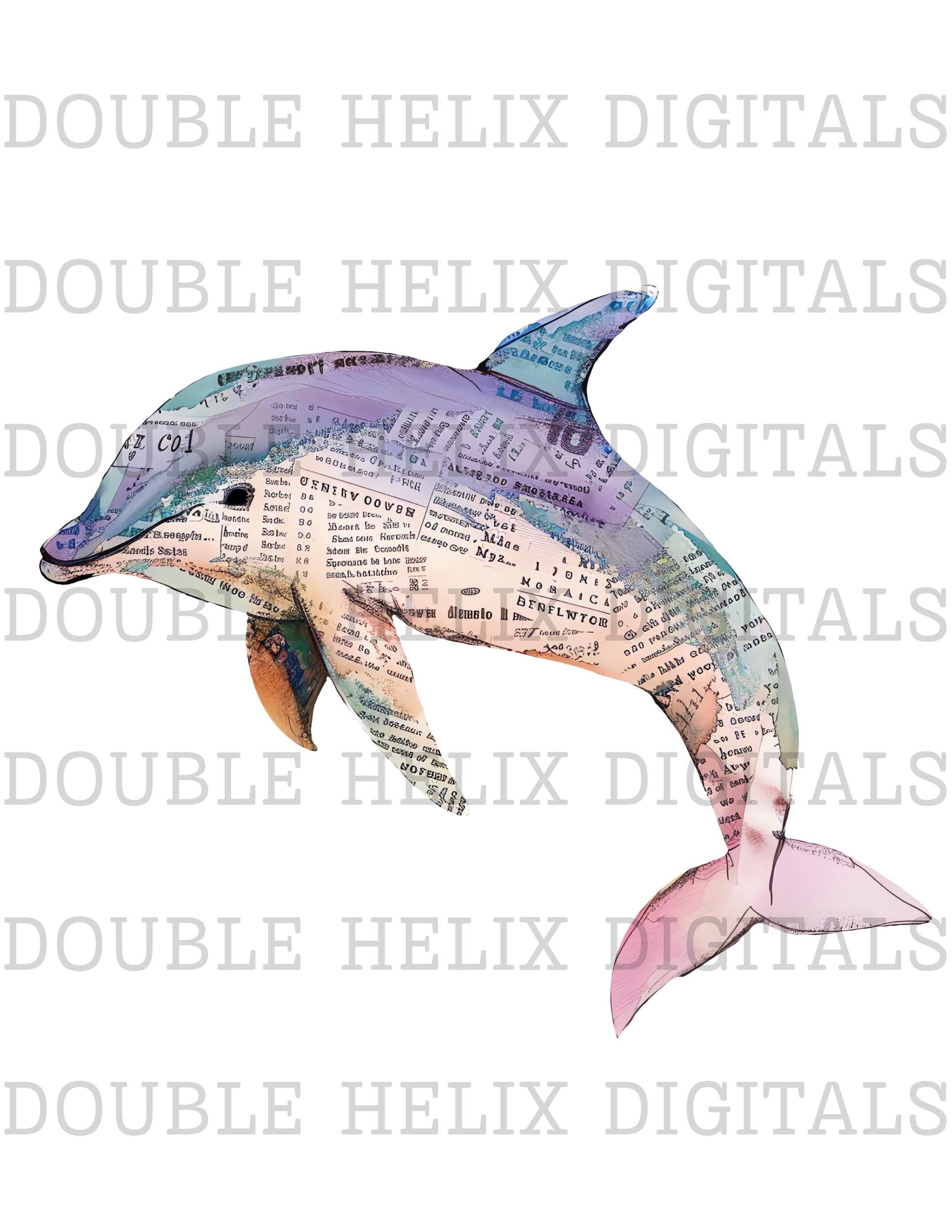 Dolphin Inks Mixed Media Dolphins Clipart Text Watercolor Grunge Distressed PNG ...