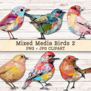 May include: A collection of six bird illustrations created with mixed media collage techniques, featuring various colors and patterns. The text "Mixed Media Birds 2 PNG + JPG CLIPART" is centered across the middle of the image.