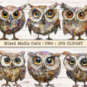 Mixed media uilen clipart, Halloween grillige PNG + JPG instant downloads, schilderkunstige grote ogen magische collage ongewenste dagboek digitale benodigdheden