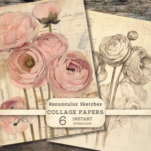 May include: Six digital collage papers featuring vintage illustrations of pink and gray ranunculus flowers. The papers have a distressed, aged look and include handwritten text.