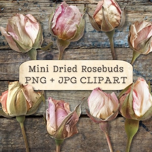 May include: A collection of dried rosebuds in various shades of pink and beige, arranged on a rustic wooden background. The rosebuds are small and delicate, with a natural, dried texture. The image includes the text "Mini Dried Rosebuds PNG + JPG CLIPART".