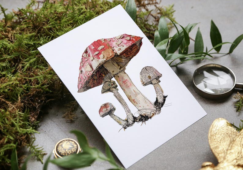 May include: A watercolor illustration of a group of mushrooms. The main mushroom is red with white spots and has a long stem. The other two mushrooms are smaller and have brown caps. The illustration is on a white background.
