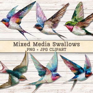 Puede incluir: Una colección de seis ilustraciones de golondrinas con pinceladas gruesas y texturizadas en colores vibrantes que incluyen azul, rosa, verde y blanco. El texto "Mixed Media Swallows PNG + JPG CLIPART" está centrado horizontalmente en el medio.