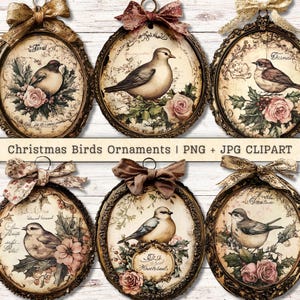 Enfeites de pássaros de Natal Clip Art, Colagem Vintage Shabby Chic, Diário de Scrapbook Junk, Rosas Cartão de Natal Antigo - Fazendo PNG + JPG Download