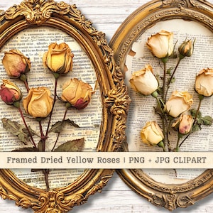 Roses jaunes séchées encadrées Clip Art, album de collage camée romantique vintage, journal indésirable grunge, créations en papier pour agenda, image imprimable