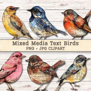 May include: Six mixed media bird illustrations in various colours, including yellow, blue, red, pink, brown, and teal. Each bird has a unique design with text patterns. The image includes the text "Mixed Media Text Birds PNG + JPG CLIPART."